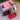 artery pal 動脈